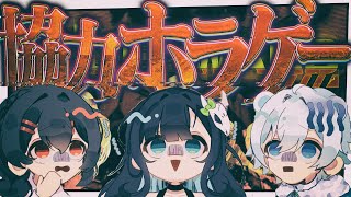 【協力ホラゲー】廃病院で実験体の回収をする『協力』ホラーゲームらしい【めめらてこぱす/視点：ぜんこぱす】