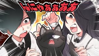 Can you forgive this cat?