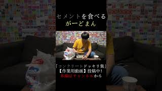 セメントを食べるがーどまん　 #チャンネルがーどまん #切り抜き＃shorts