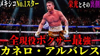 【カネロ・アルバレス前編】15歳から戦い続けるメキシコのスーパースター ゴロフキンとの名勝負の裏側(唯一の敗北は…やっぱりあの人)