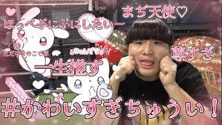 【作業用BGM】かわいいまも子集