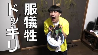 【作業用BGM】服犠牲ドッキリ集 Part1