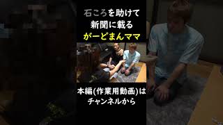 石ころを助けて新聞に載るがーどまんママ　 #チャンネルがーどまん #切り抜き＃shorts