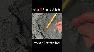 穴に太筆を入れると…