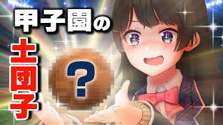 【調達】甲子園の土でピカピカの泥団子をつくってみよう！！