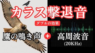 カラス撃退音。鷹の鳴き声と超音波でダブルの効果。カラスが嫌がる音でカラス対策