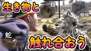 野生の生物と格闘したり触れ合ったりする集(コウモリ、蛇、蜘蛛、蜂etc...)