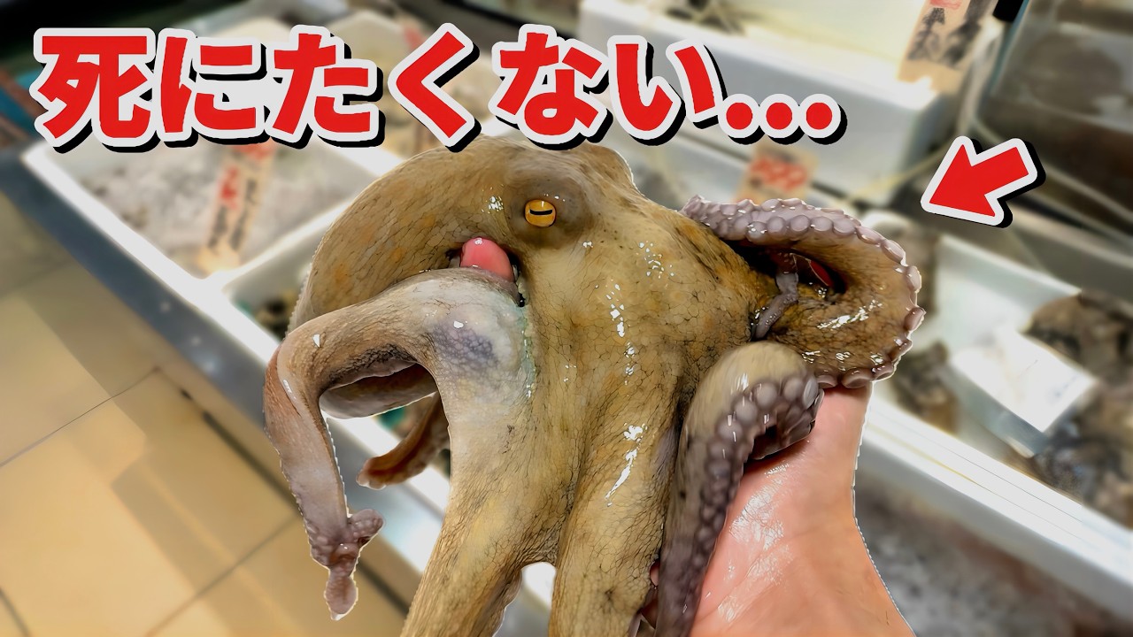 サムネ