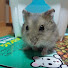 アイコン